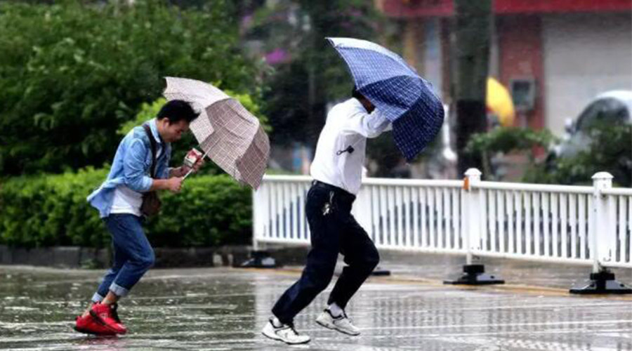 9號臺風(fēng)“馬鞍”生成！金環(huán)電器提醒大家要注意的事項