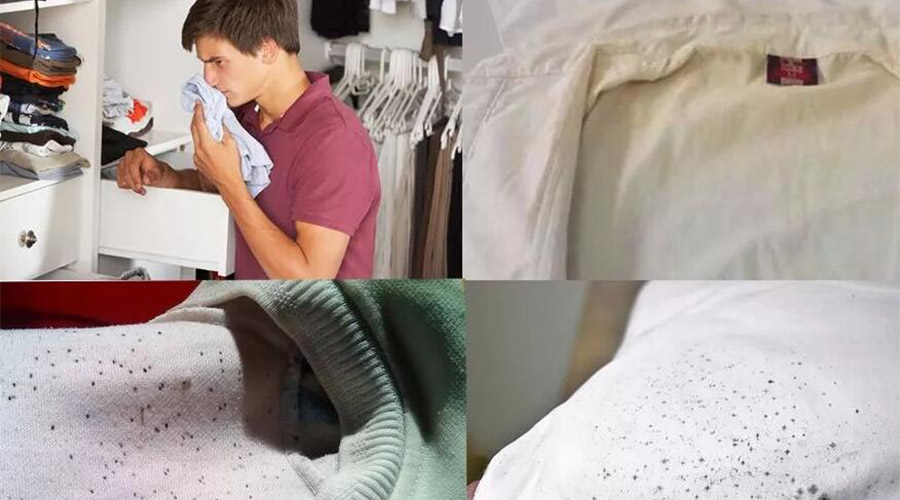 衣服護理小常識：潮濕天衣物有霉味不宜穿  該怎么辦？