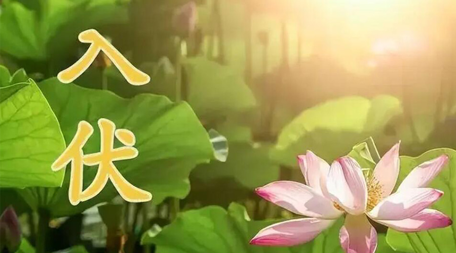 入伏天來(lái)襲！金環(huán)電器提醒大家要注意的事項