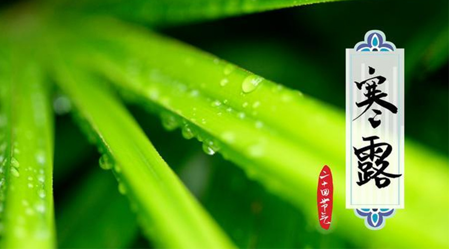 寒露時(shí)節到！金環(huán)電器提醒這些干衣事項要注意
