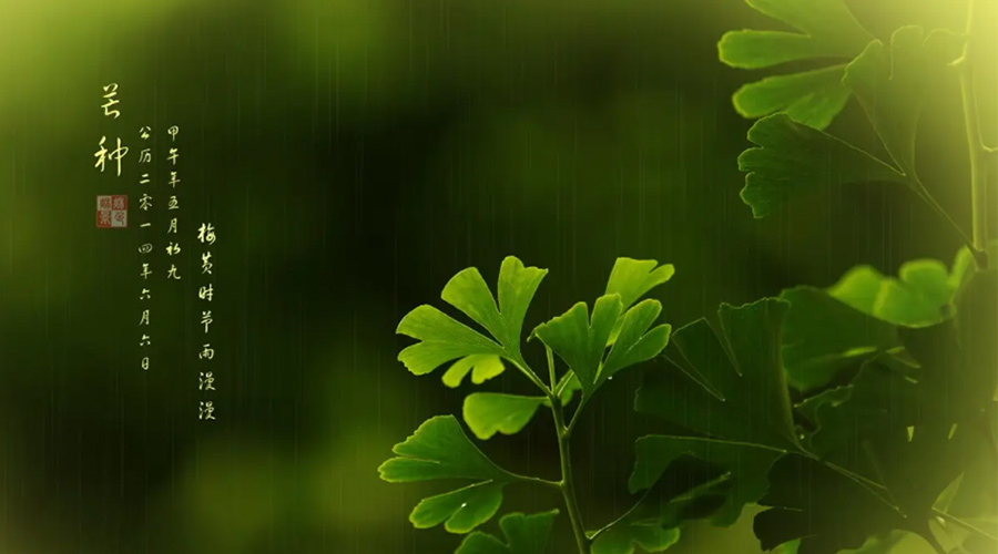 芒種時(shí)節！金環(huán)電器提醒大家的注意事項