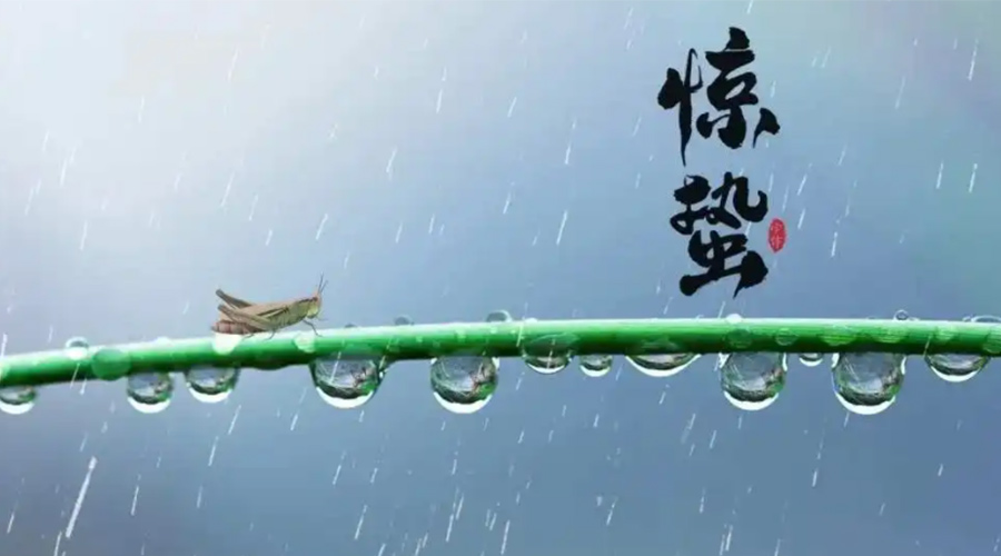 驚蟄時(shí)節！金環(huán)電器提醒大家干衣要注意這些