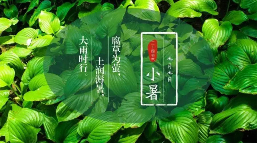 小暑時(shí)節來(lái)到！金環(huán)電器提醒大家要注意的事項