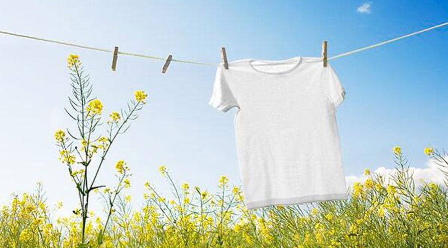 滾筒干衣機紫外線(xiàn)燈除菌對比太陽(yáng)光除菌哪個(gè)效果更好