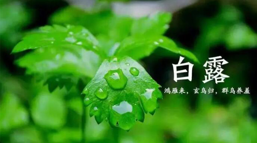 白露時(shí)節！金環(huán)電器提醒大家要注意的事項