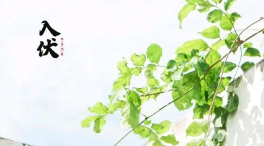 初伏時(shí)節！金環(huán)電器提醒大家要注意的事項