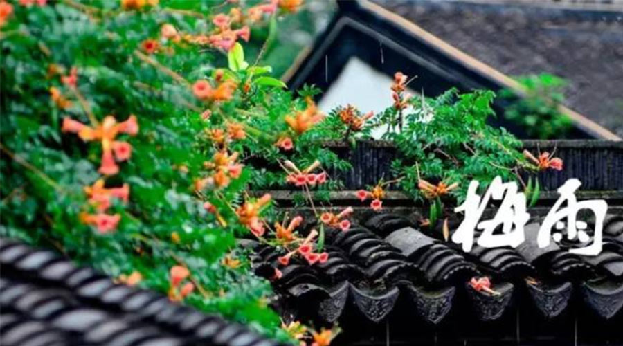 什么是梅雨？梅雨如何形成？  金環(huán)電器告訴你答案